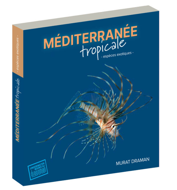 mediterranee-tropicale-kitap-perspektif Découvrez les espèces exotiques de la Méditerranée dans ce guide captivant, essentiel pour les passionnés de plongée.