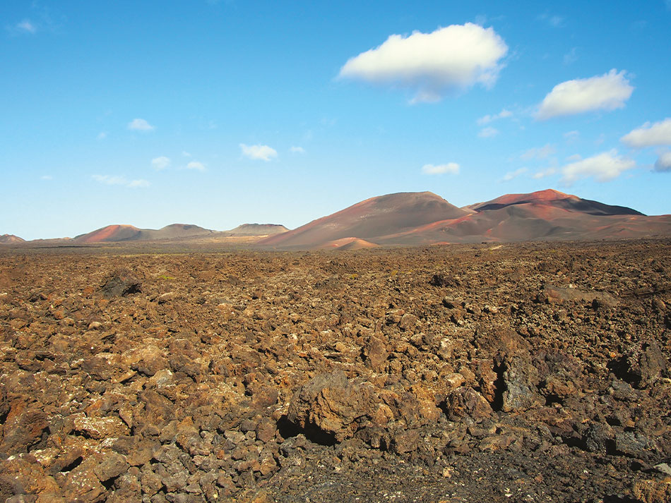 Plongee lanzarote canaries 7