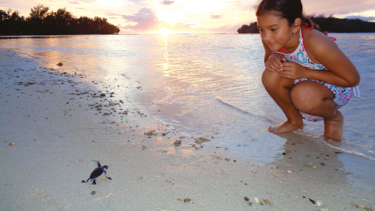 Une jeune fille observe une tortue marine rejoignant l'océan au coucher du soleil en Polynésie, symbole de la biodiversité...