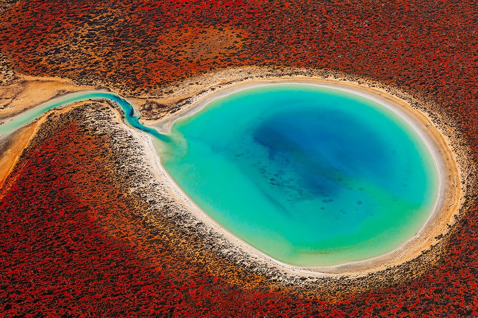 Sperm pond