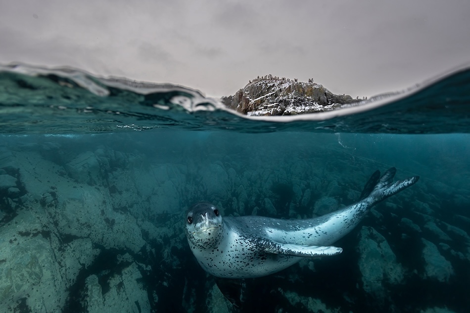 Unwod2025 underwater seascapes honourable mention lars von ritter zahony germany