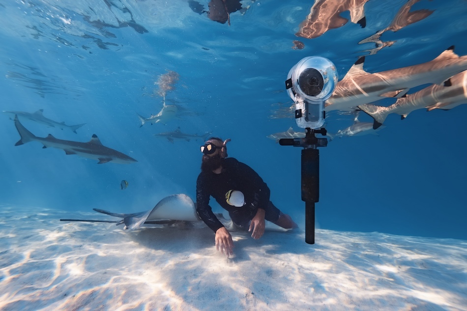 Dive buddy3