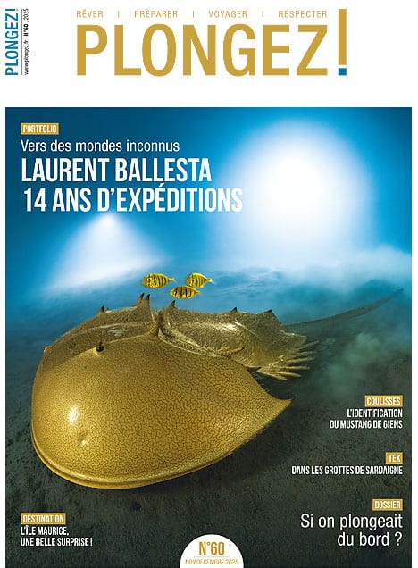 magazine 60 plongez