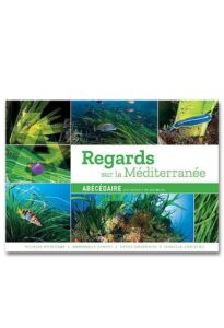 Regards Méditerranée : abécédaire des herbiers de posidonie T4