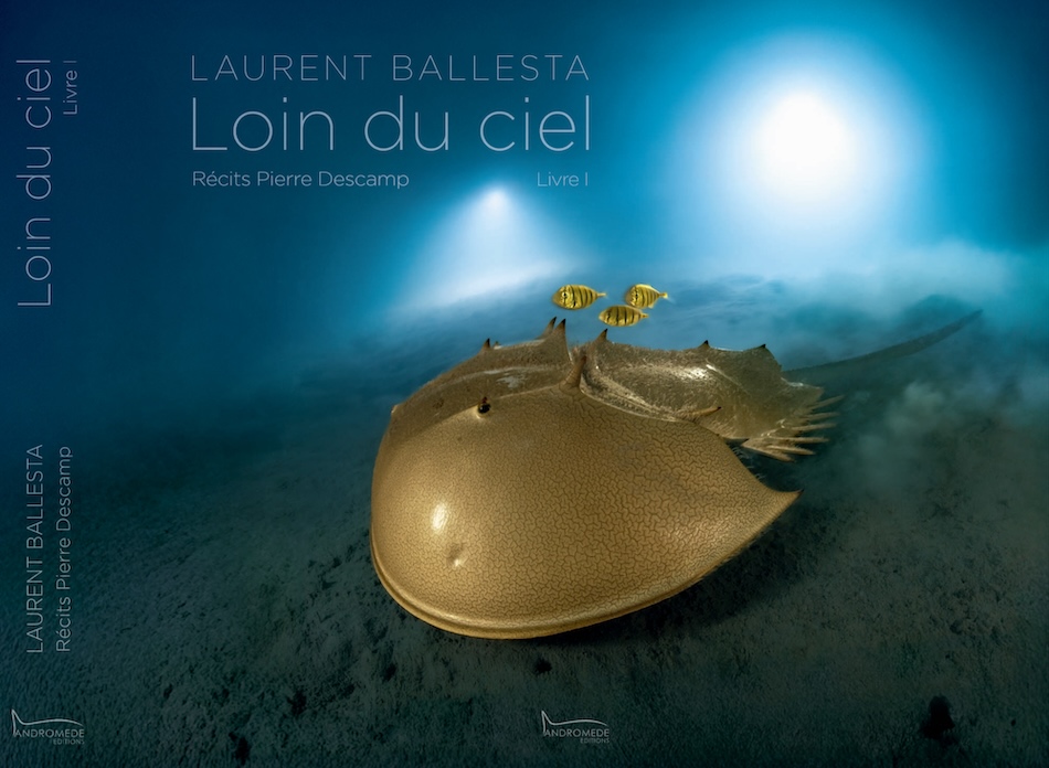 Couv loinduciel