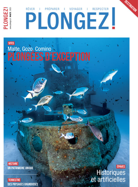 guide-plongee-malte-cover Plongées d'exception à Malte, Gozo et Comino : épaves, poissons et paysages sous-marins uniques.