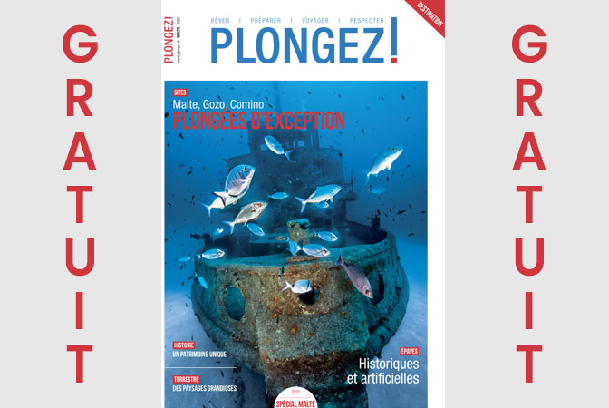 Plongée sous-marine à Malte : destinations, équipements, formations et événements exceptionnels.