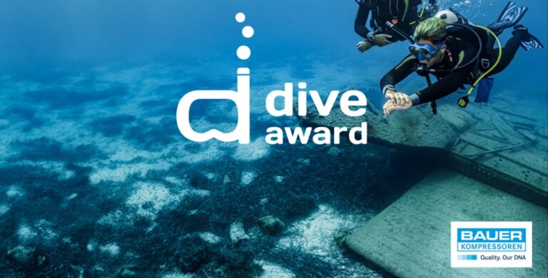 Plongée sous-marine captivante avec des plongeurs explorant des épaves, équipement de qualité et événements.