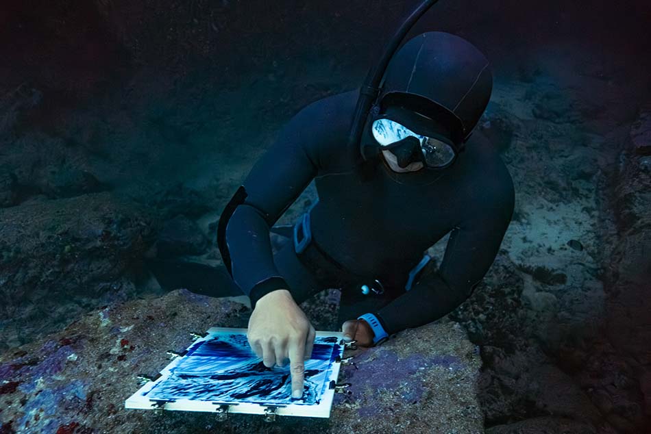 Un plongeur explore les fonds marins tout en capturant des données sur la biodiversité océanique.