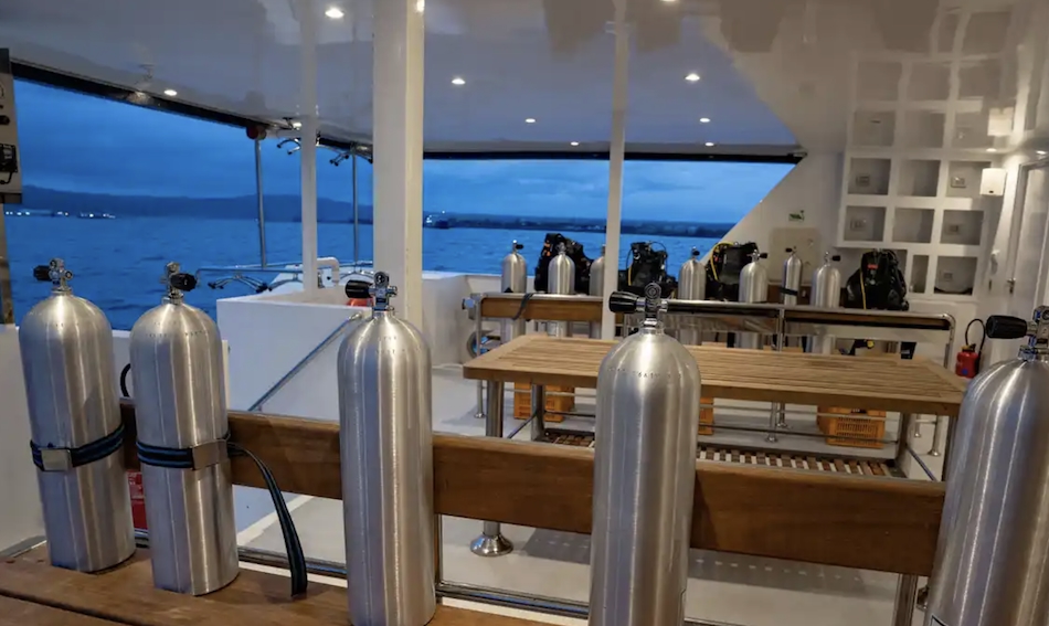Équipement de plongée prêt à l'emploi sur un bateau, idéal pour explorer les merveilles sous-marines.
