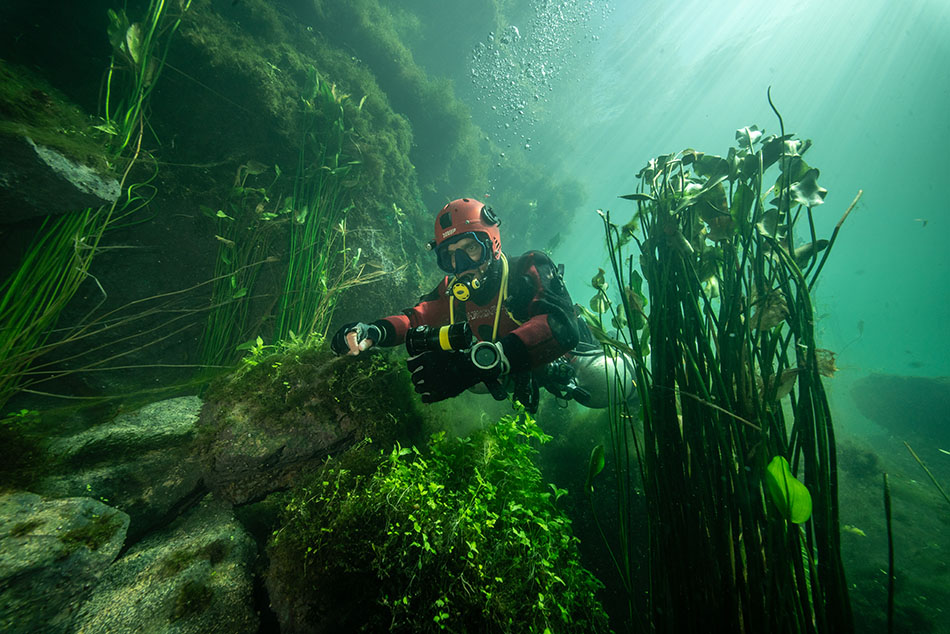 Un plongeur explore un monde sous-marin riche en végétation aquatique et en lumière.