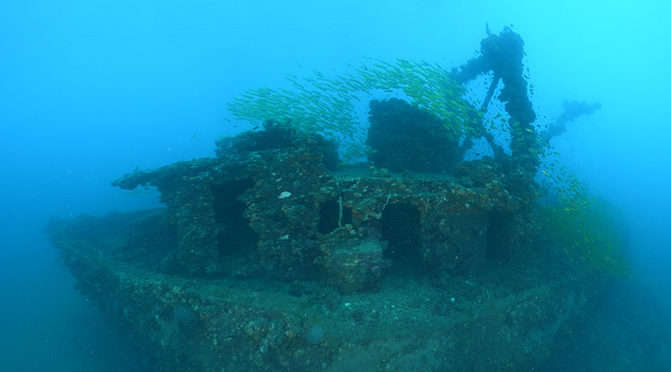 Une épave sous-marine habitée par des bancs de poissons, idéale pour la plongée exploratoire.