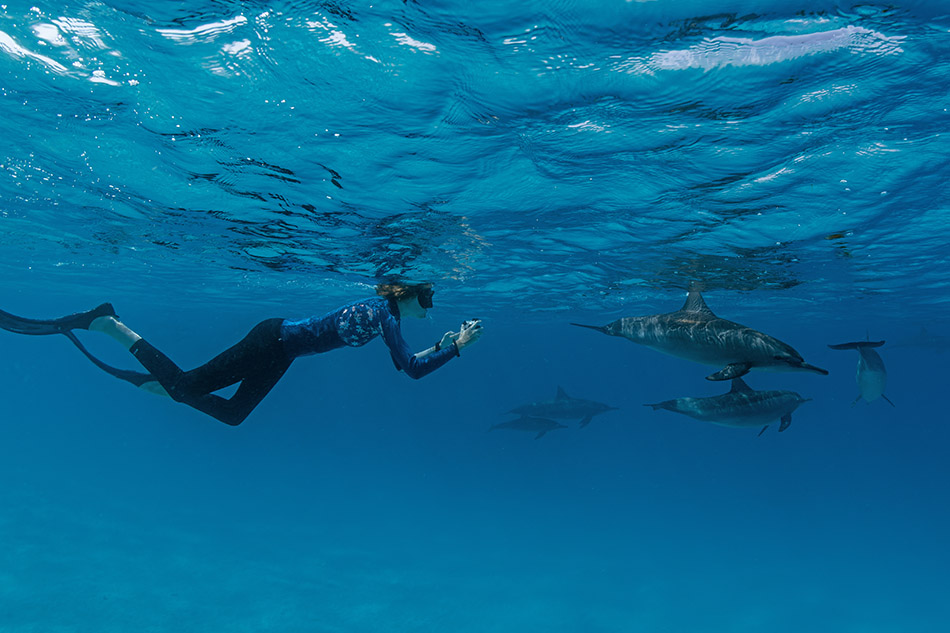 Une plongeuse observe des dauphins dans les eaux cristallines d'un paradis sous-marin.