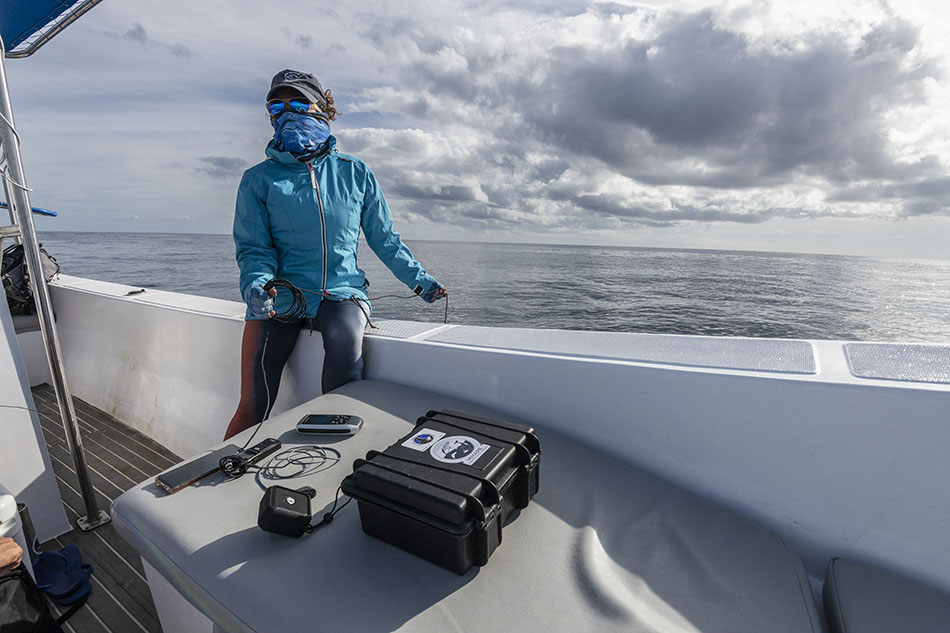 Plongée en mer avec un équipage préparé et équipé pour explorer les richesses sous-marines.