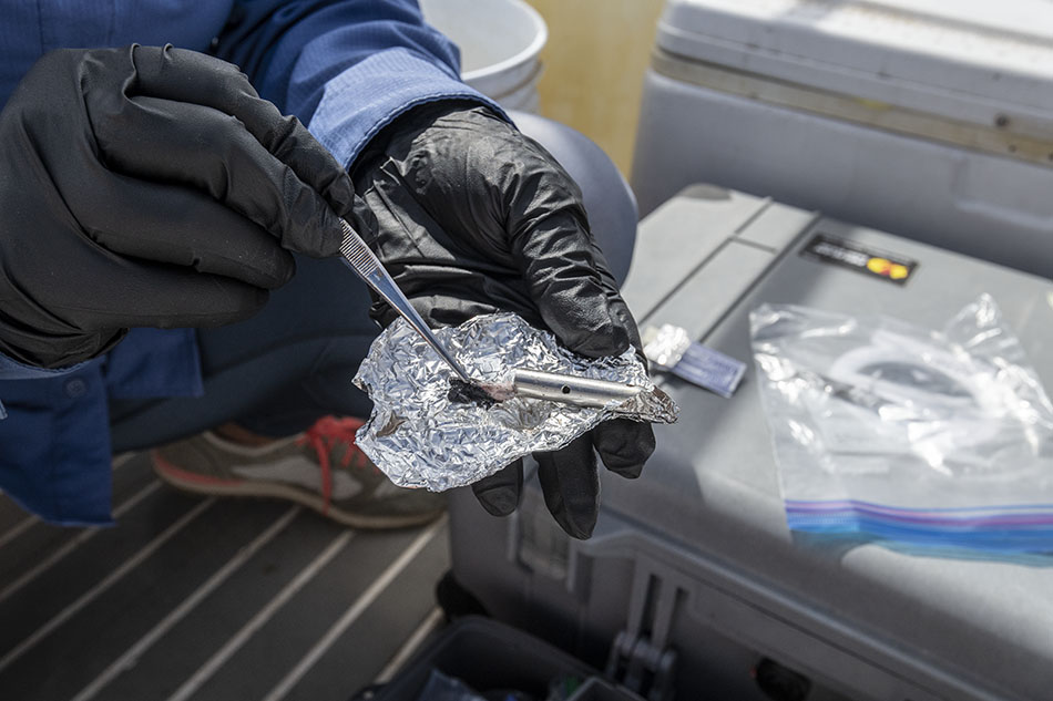 Un chercheur en plongée manipule un échantillon sous-marin pour des analyses scientifiques.