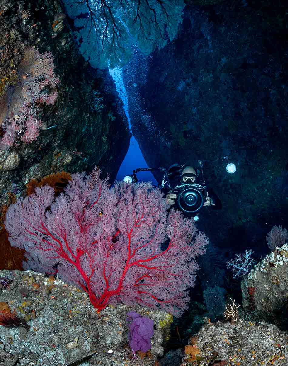 Un plongeur photographiant un corail rouge vibrant dans un canyon sous-marin fascinant.