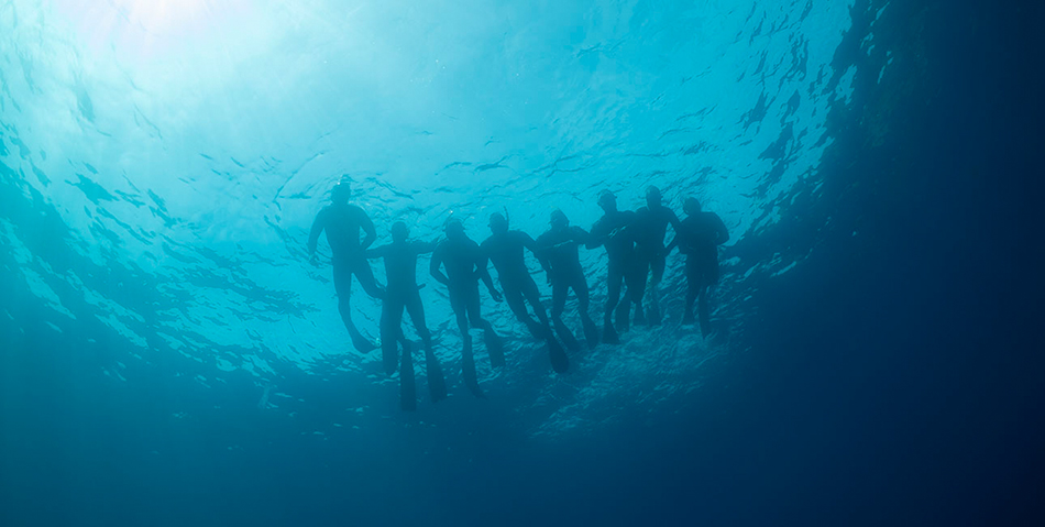 Des plongeurs en apnée explorent les merveilles sous-marines, unis par la découverte aquatique.