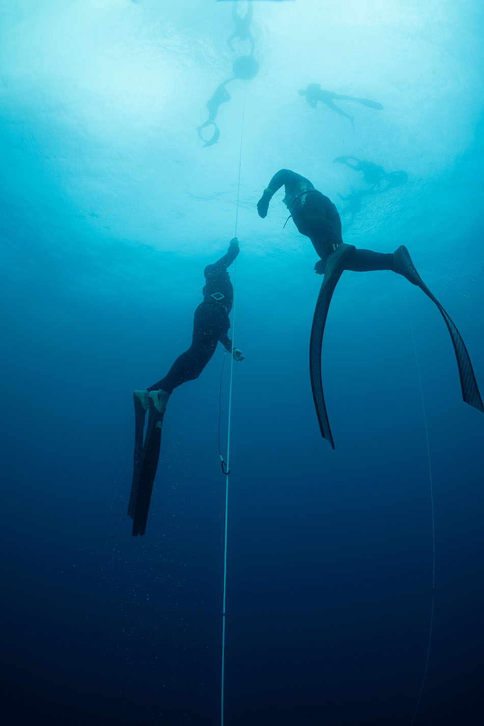 Des plongeurs en apnée s'immergent dans un océan bleu profond, explorant le monde sous-marin.