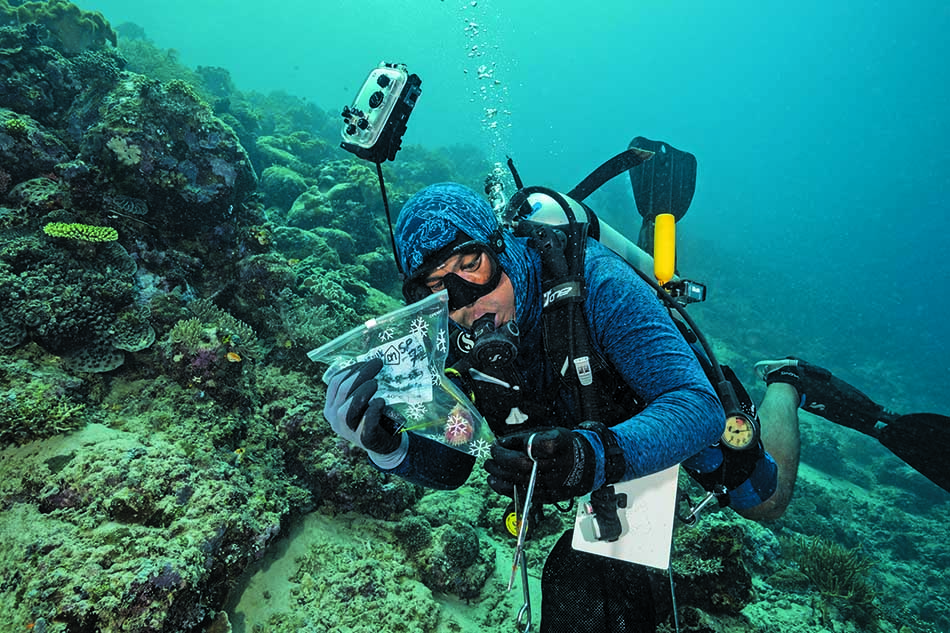 Un plongeur examine un échantillon dans un récif corallien riche en biodiversité marine.