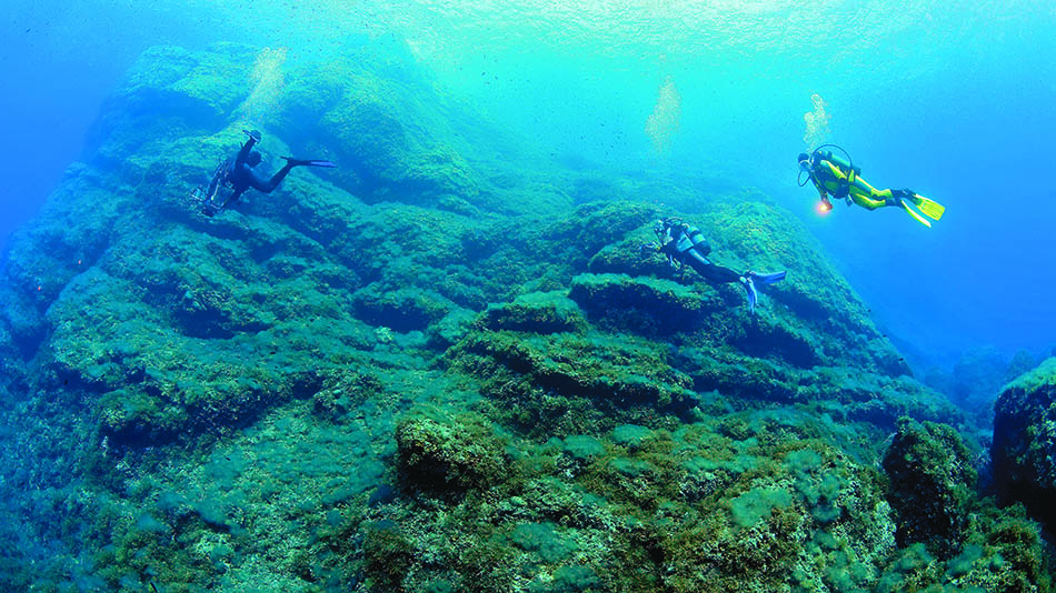 Plongée sous-marine explorant des formations rocheuses et une végétation marine riche.