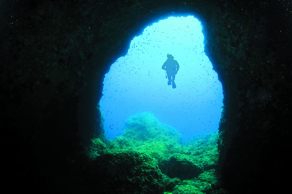 Plongée sous-marine à travers un tunnel naturel, révélant un monde marin vibrant et coloré.