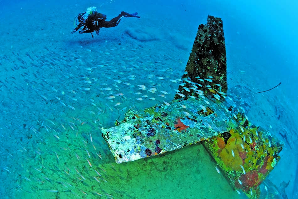 Un plongeur explore une épave colorée, entourée de bancs de poissons dans un monde sous-marin fascinant.