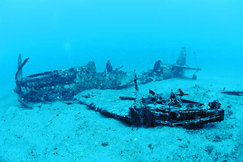 Épave mystérieuse d'un avion, habitat sous-marin pour la faune aquatique.