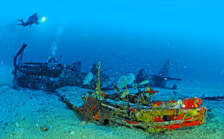 Exploration d'épaves sous-marines habitées par une biodiversité marine fascinante.