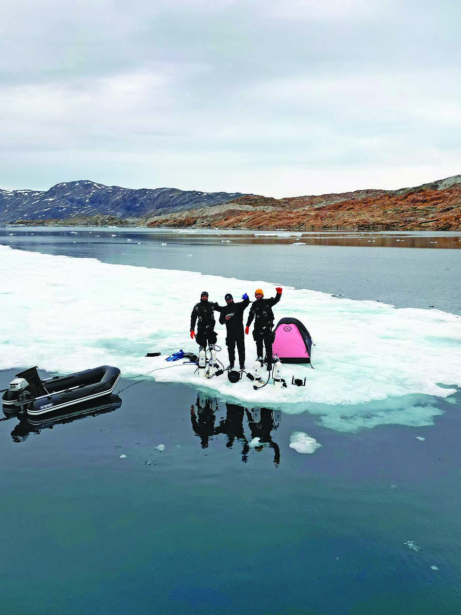Plongée sous-marine dans les eaux glacées, explorant la beauté des paysages arctiques.