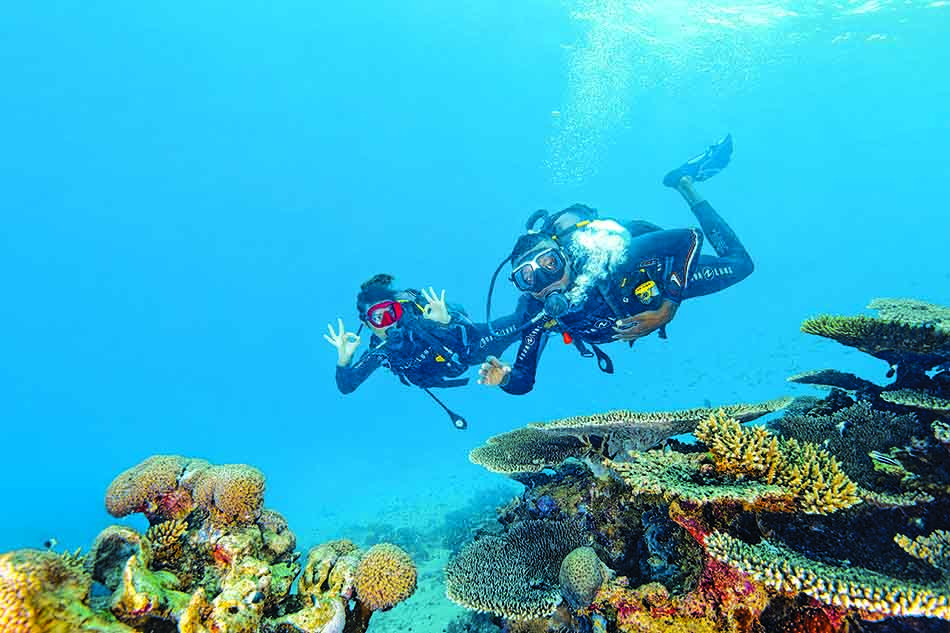 Deux plongeurs explorent un récif corallien vibrant de vie marine dans des eaux cristallines.