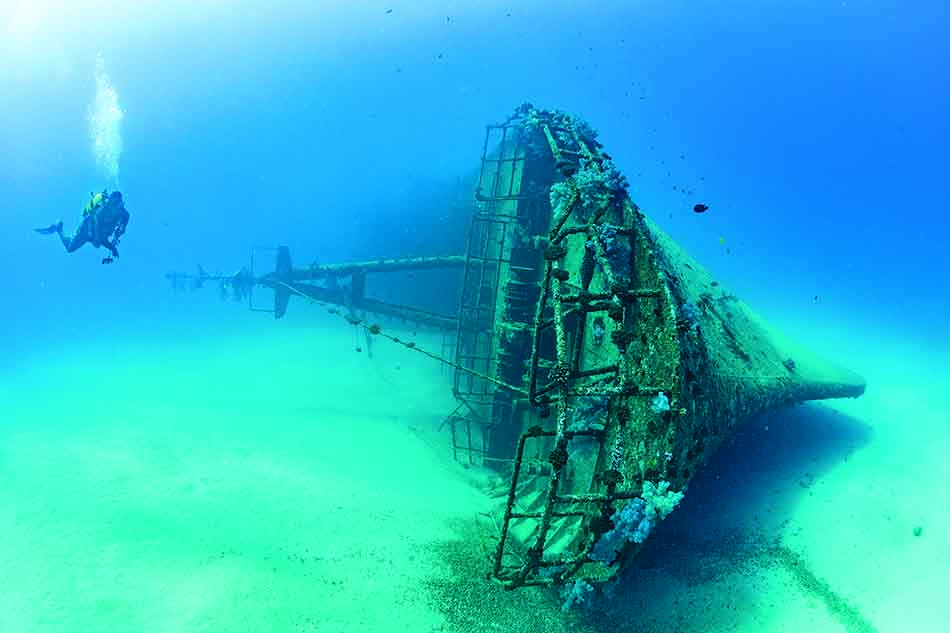 Un plongeur explore l'épave d'un navire, habitat fascinant pour la vie marine.