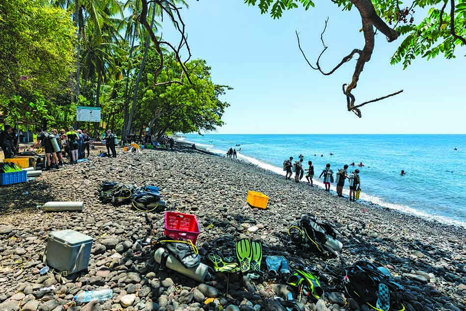 Plage animée avec plongeurs préparant leur équipement pour explorer les merveilles sous-marines.