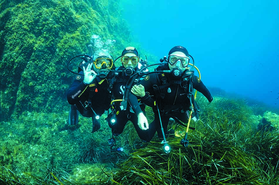 Trois plongeurs explorent un paysage sous-marin riche en végétation marine et en biodiversité.