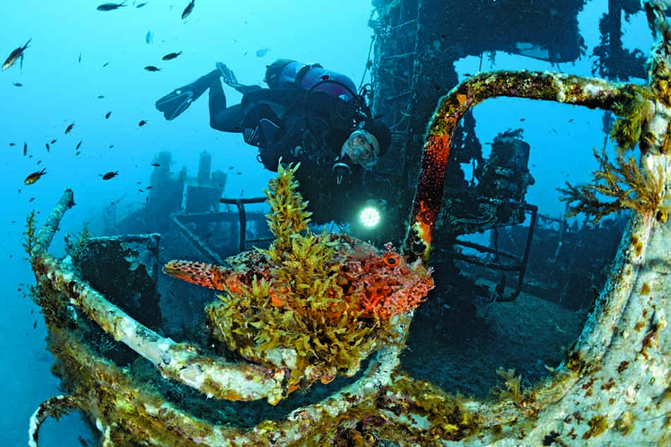 Un plongeur explore une épave sous-marine, entouré de poissons colorés et de végétation marine.