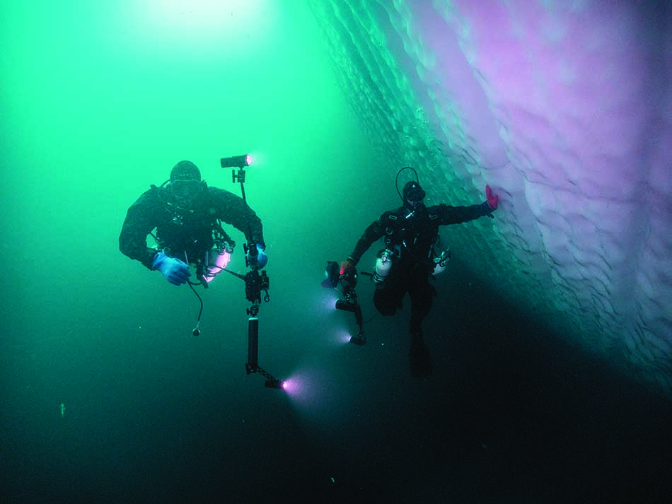 Des plongeurs explorent un monde sous-marin fascinant, illuminé par des lumières colorées.
