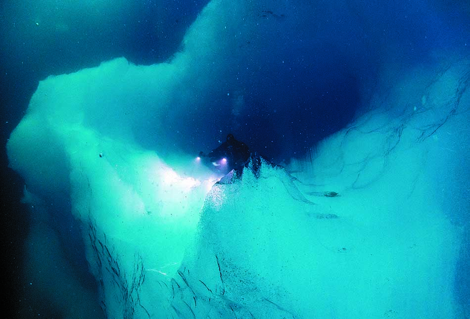 Plongée sous-marine dans des eaux glacées, révélant des formations glaciaires spectaculaires.