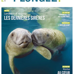 Magazine #63 Plongez!