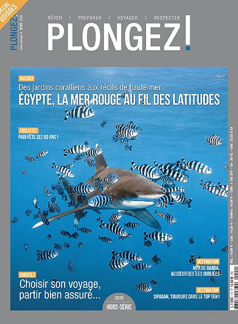 magazine-plongez-hors-serie-ete-1.