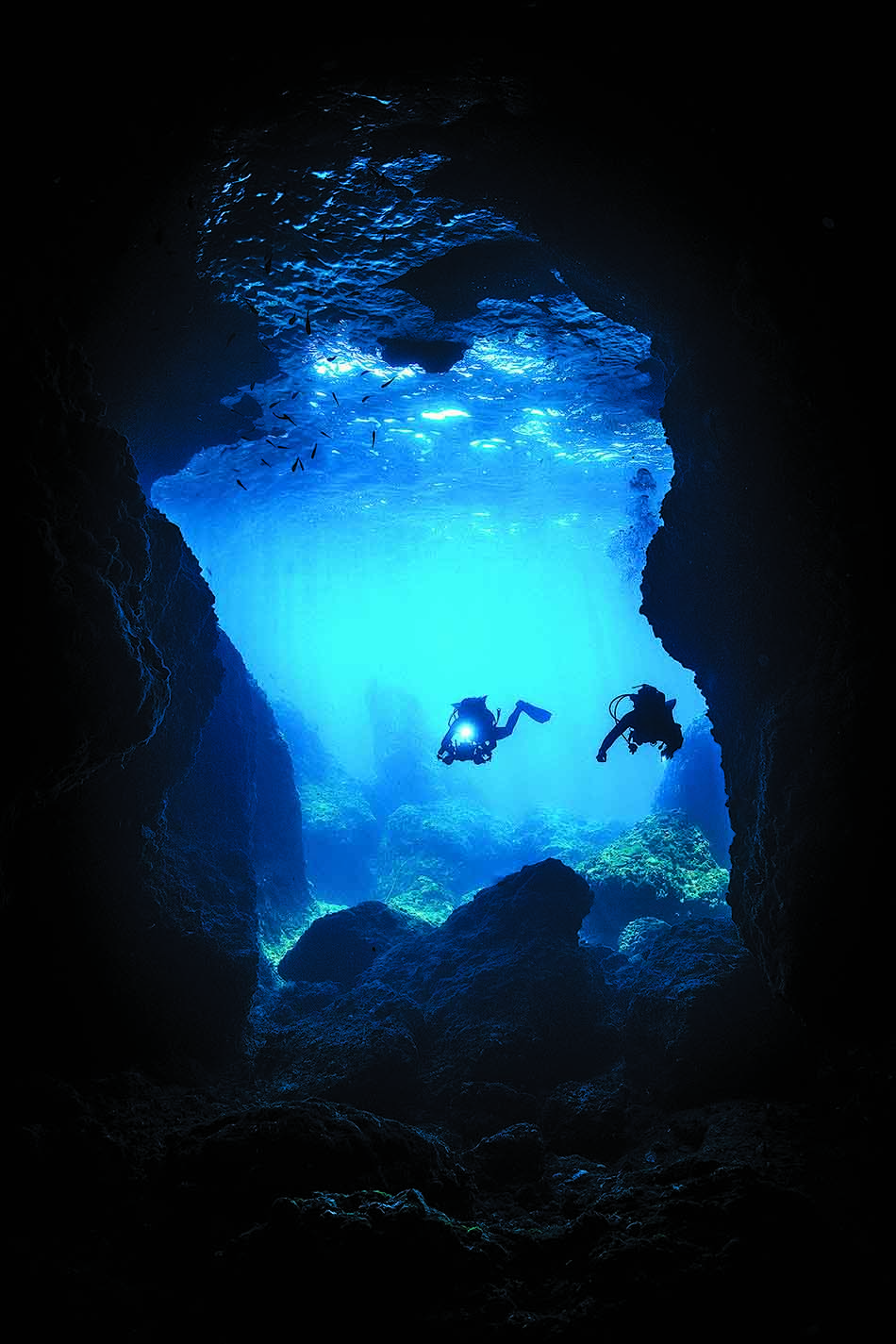 Des plongeurs explorent une cavité sous-marine illuminée par des reflets bleus, entourée de coraux.