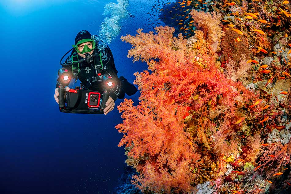 Plongeur photographiant des coraux colorés avec une caméra sous-marine dans un récif vibrant.