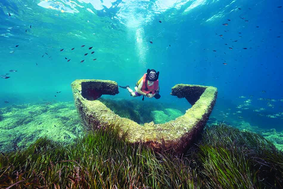 Plongée sous-marine révélant un plongeur explorant des structures marines et la vie aquatique.