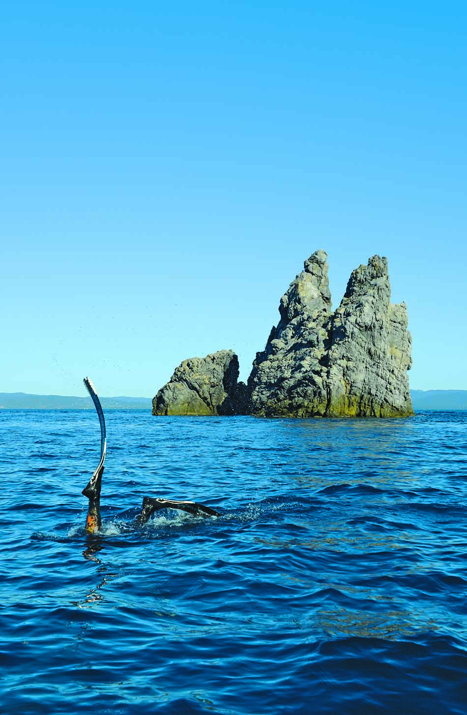 Un plongeur explore les eaux cristallines près de formations rocheuses sous-marines fascinantes.