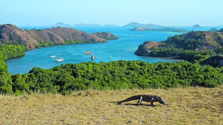 Destination : En croisière de Komodo à Alor